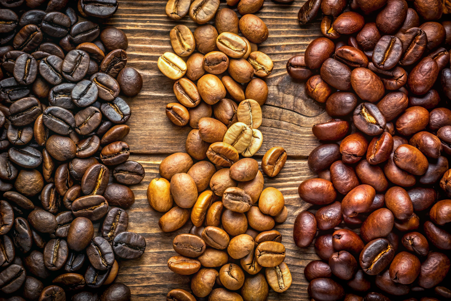 Beste Kaffeesorten für den Anbau – Arabica und Robusta im Fokus